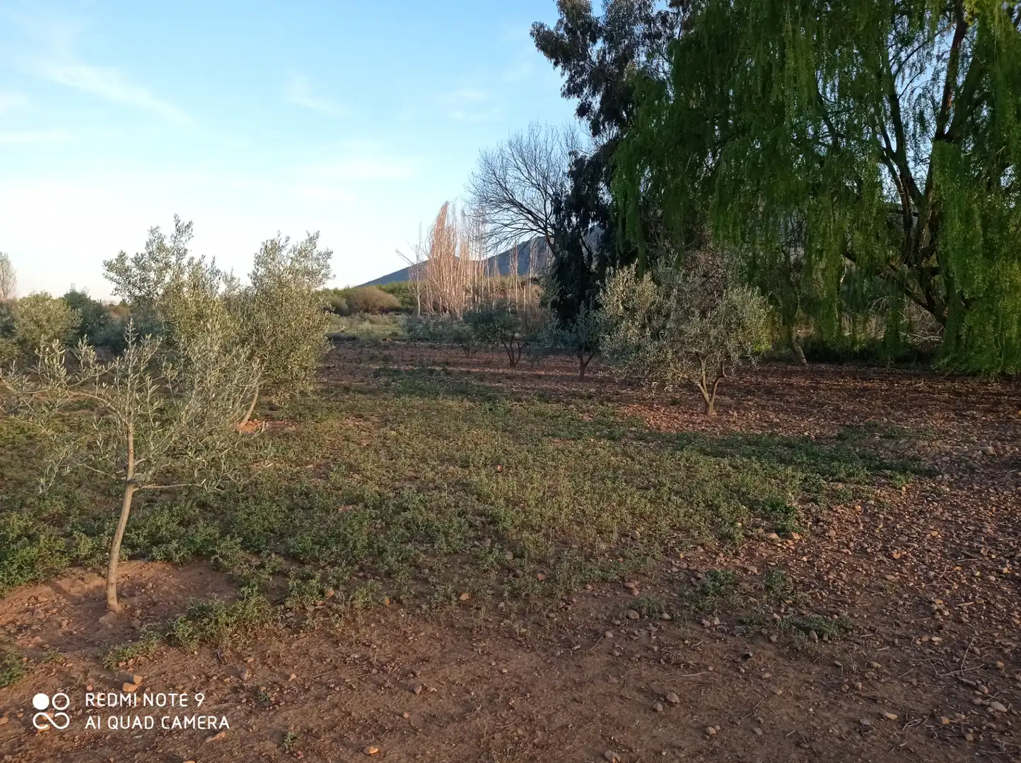 Chalet con jardín en venta en Porzuna, imagen 20