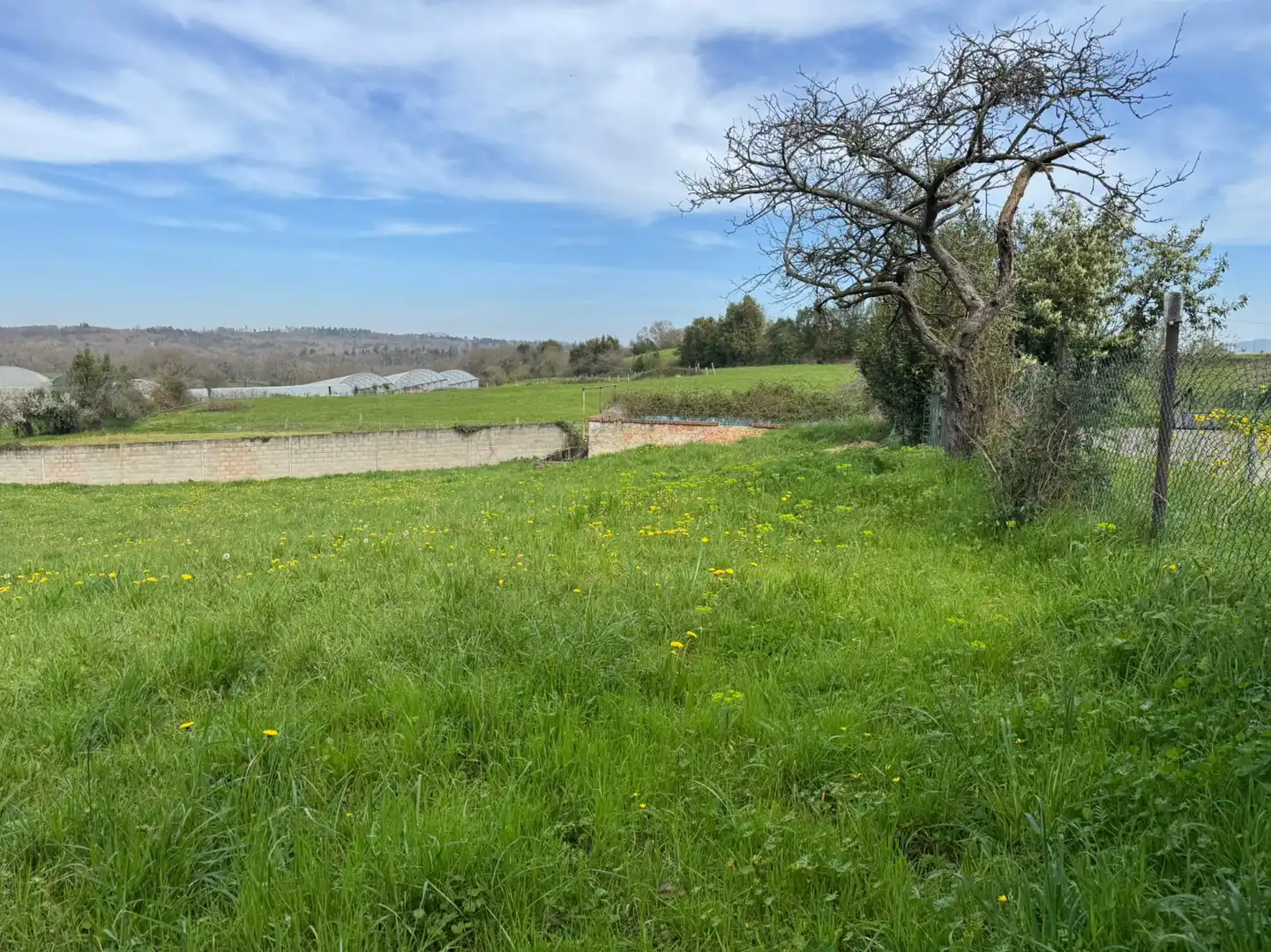 Residencial en venda a San Miguel - CAMÍN DE LOS LLOREOS, El Berrón - La Carrera