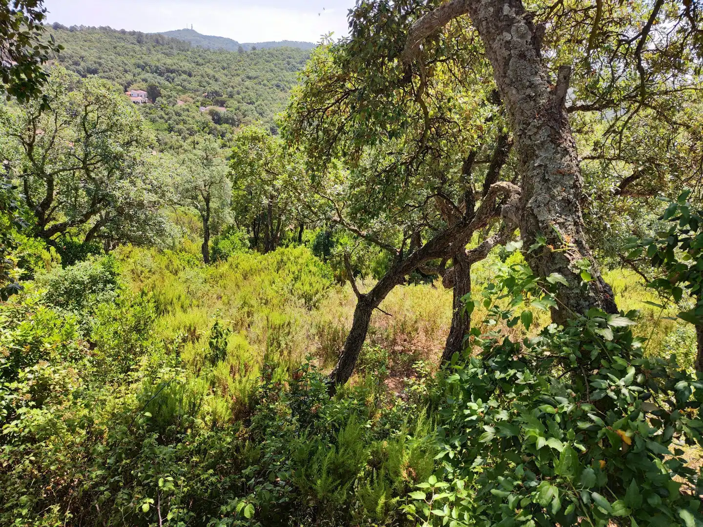 Residential land for sale in Llagostera, imagen 6