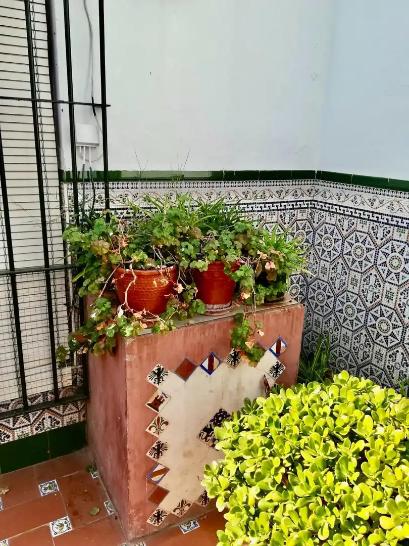 Jardí de Casa o xalet en venda en Tocina amb Aire condicionat, Jardí privat i Terrassa