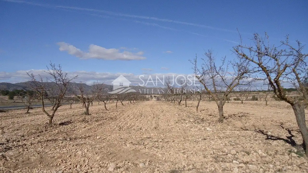 Finca rústica en venda en Yecla
