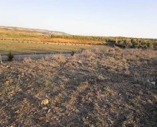 Land for sale in Calatayud