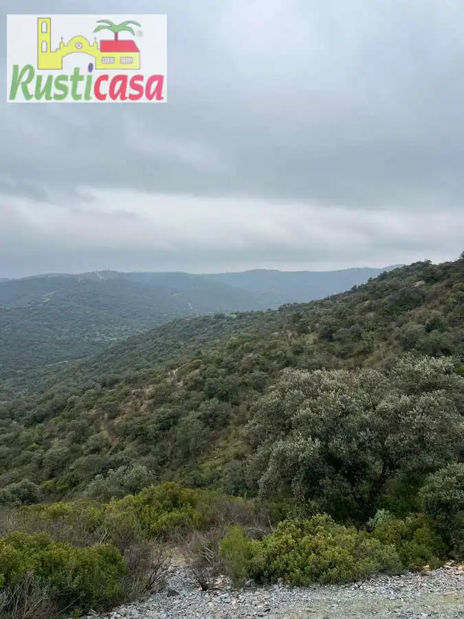 Terreni e lotti in vendita a Almadanejos, imagen 3