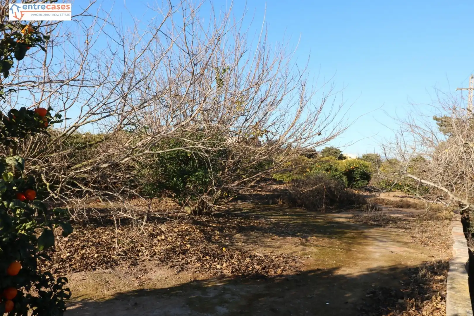 Rural land for sale in Canet d'En Berenguer, imagen 14