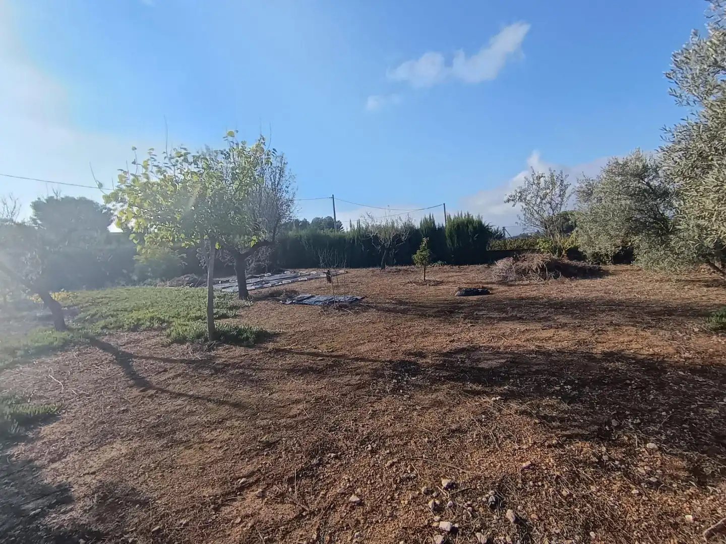 Finca rústica en venda a Chiva, Valencia