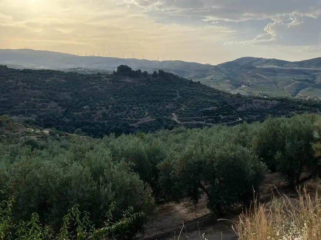 Maison rustique à vendre à Los castillos, el valle, imagen 4