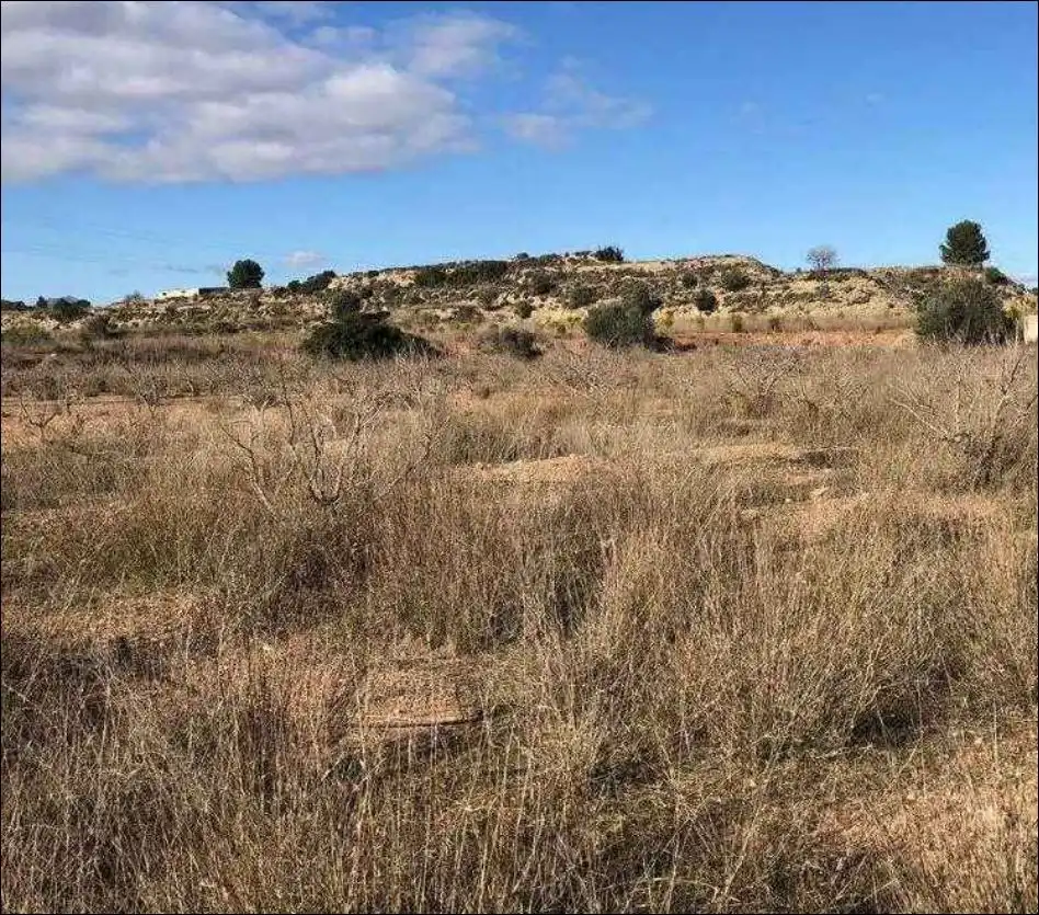 Rural land for sale in Pr Fuente de la Morera, imagen 8