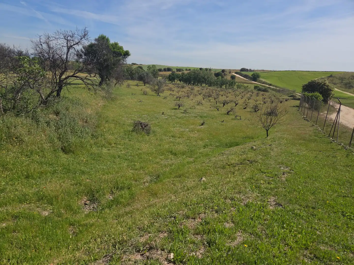 Finca rústica en venta en Navalcarnero