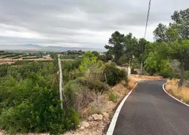 Terreny rústic en venda a Carlet, imagen 8