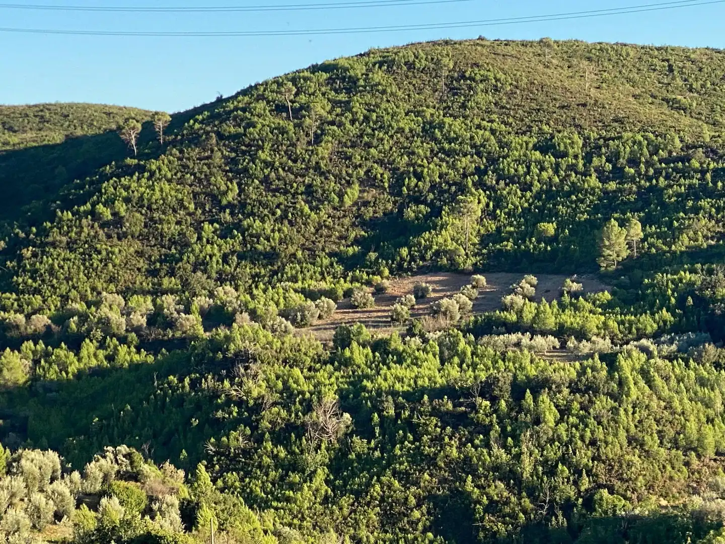 Terrenys i solars en venda a Cortes de Pallás