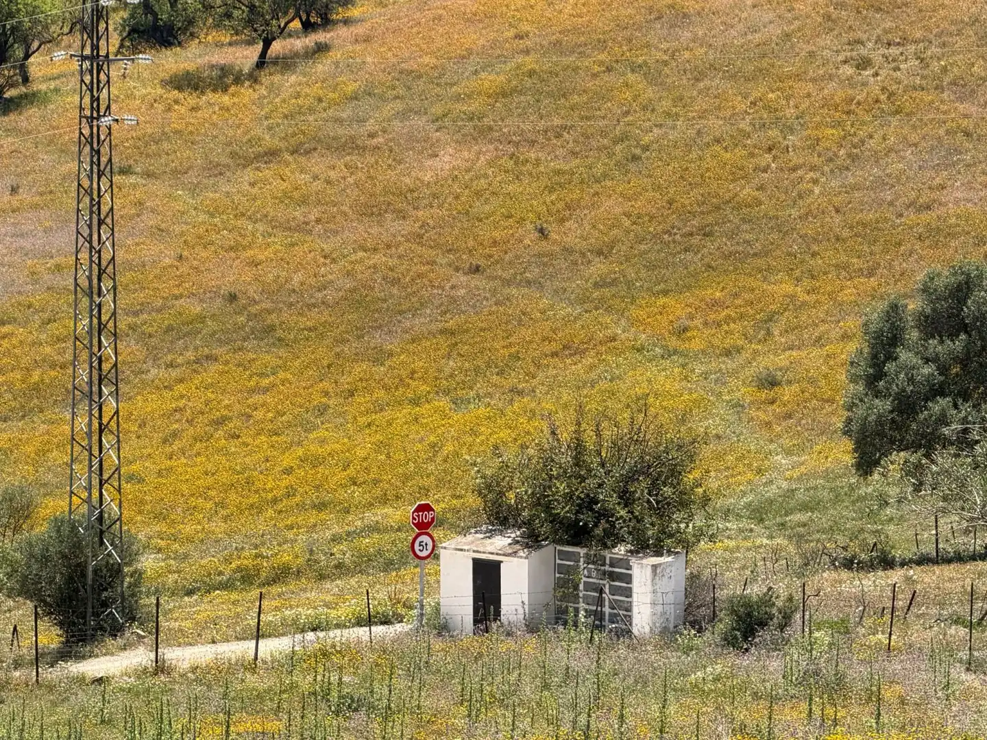 Casa rústica en venda a Gaucín, imagen 21