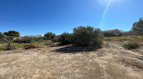 Photo 2 of Residential for sale in Diputacion de la Fuente, 351, Pulpí pueblo, Almería