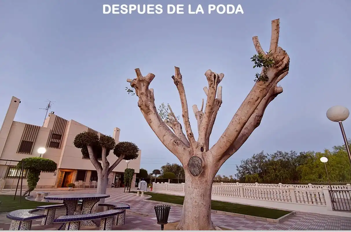 Villa avec terrasse à vendre à Perleta - Maitino, imagen 44