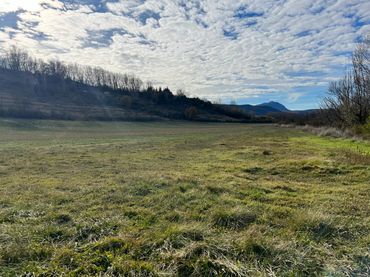 Rural land for sale in Calle Luis Serra