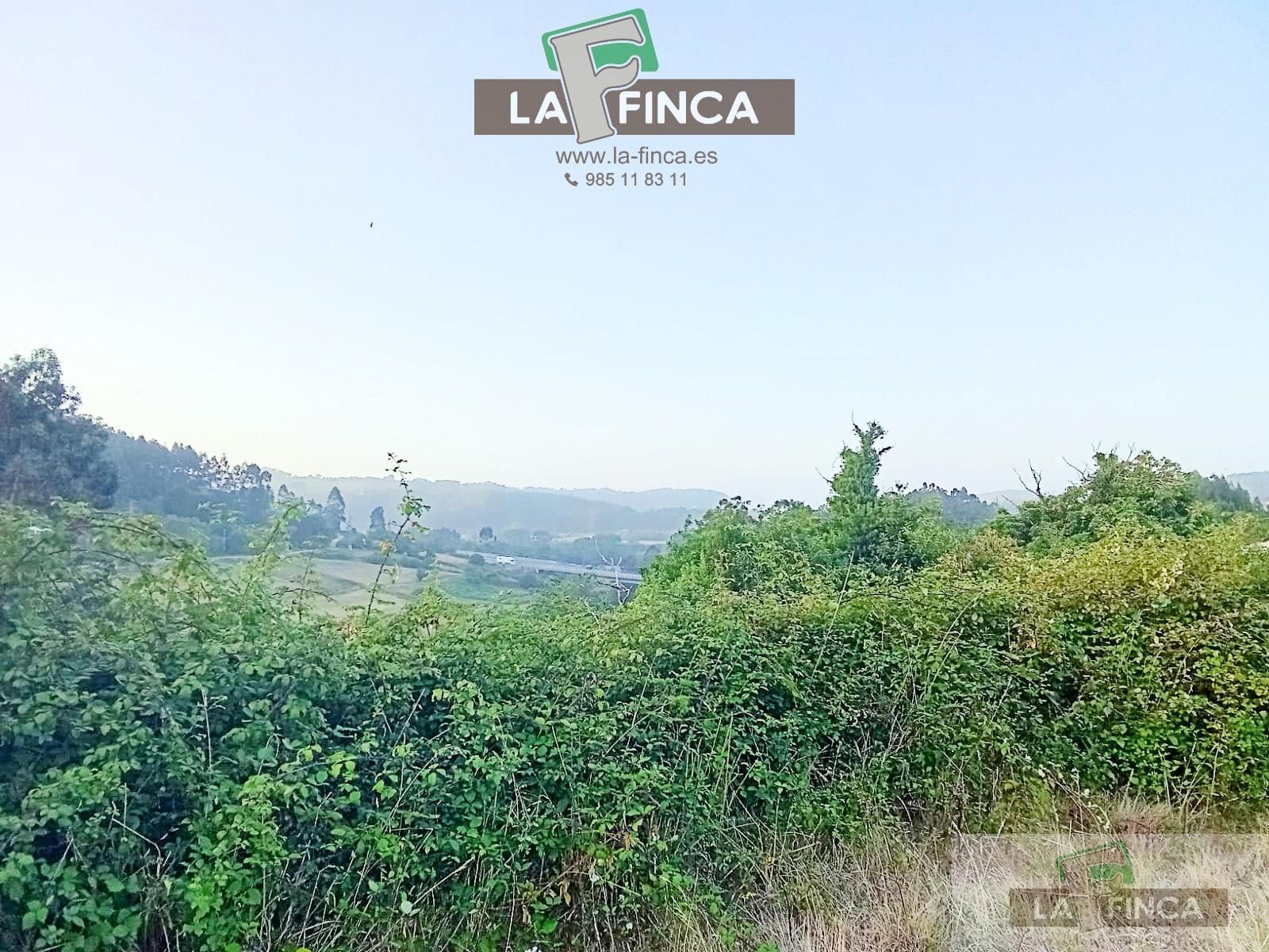 Finca rústica en venta en Pravia