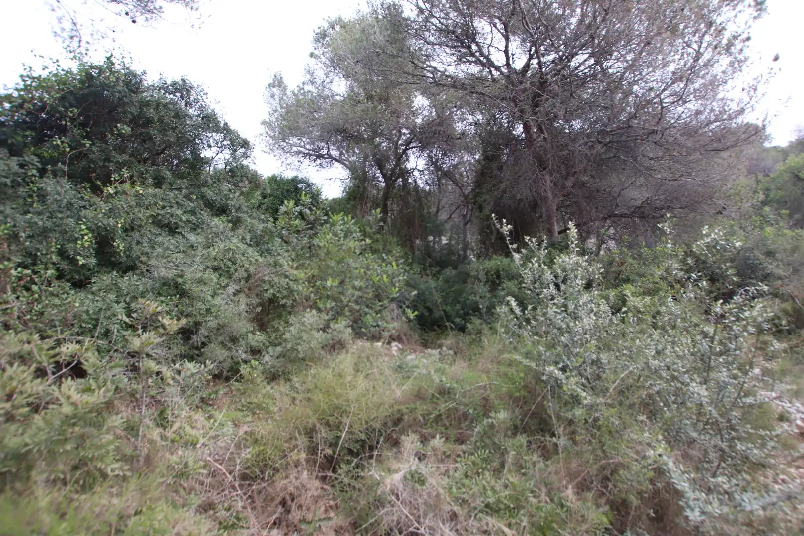Residencial en venta en Cubelles