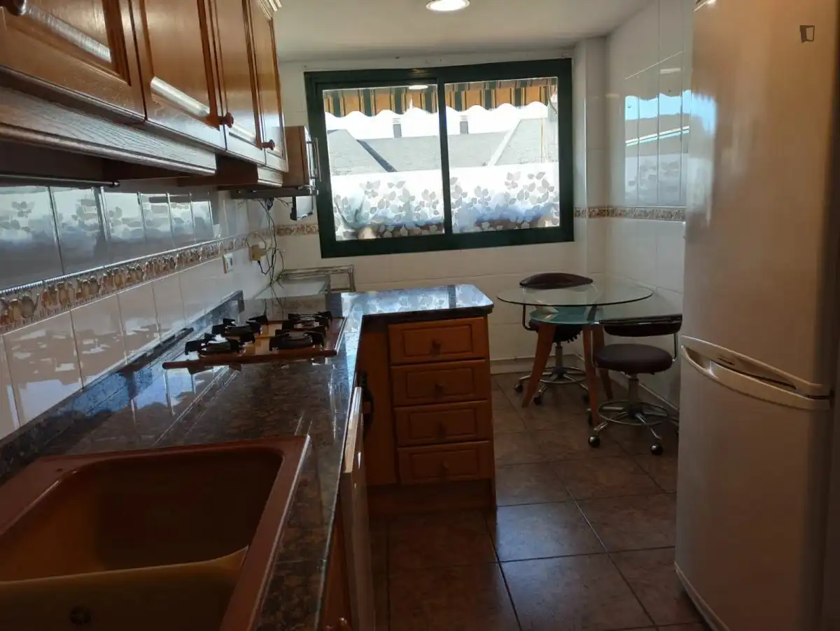 Cuina de Apartament per a compartir en Valencia amb Aire condicionat, Moblat i Forn