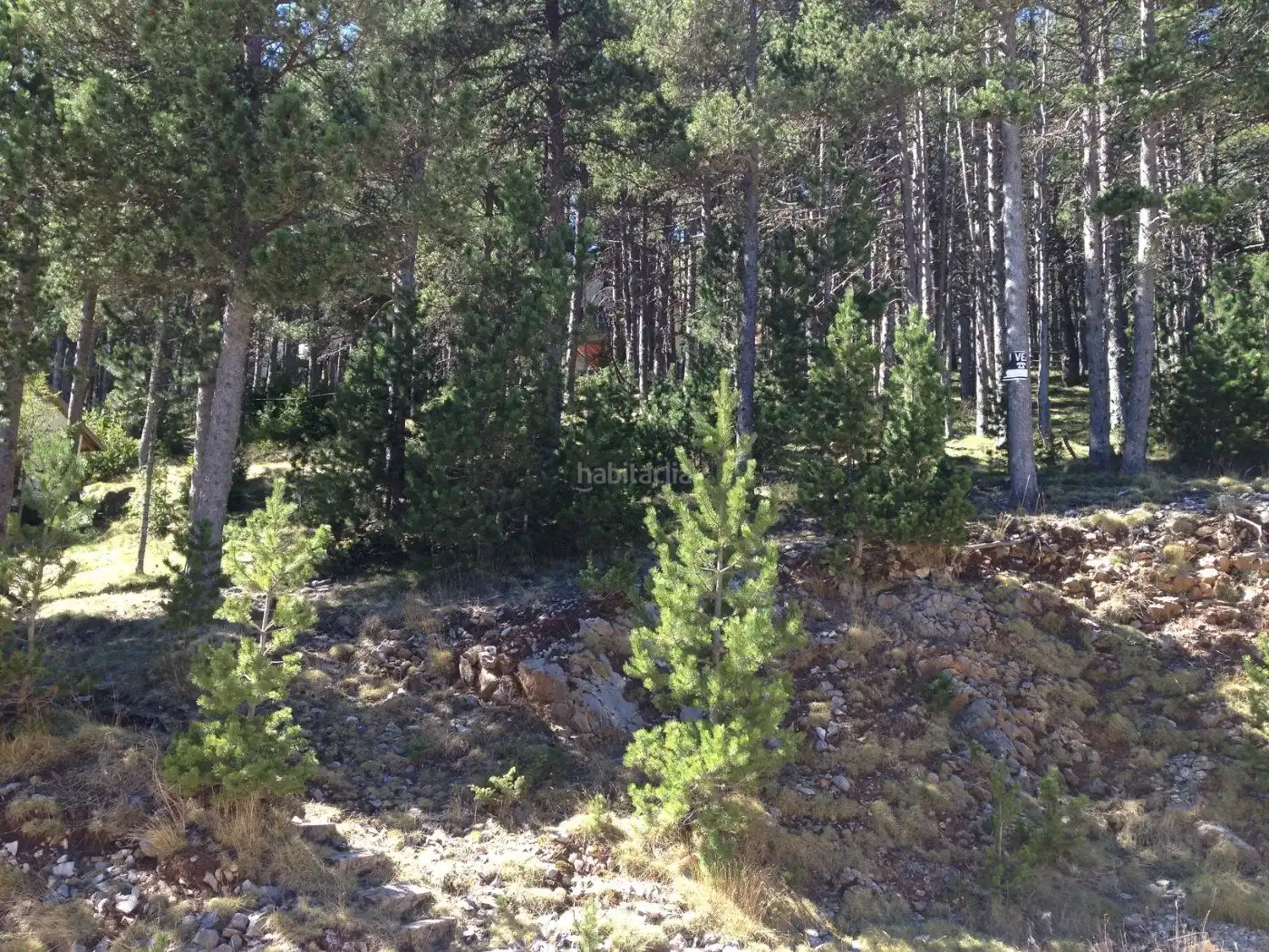 Terreno residencial en venta en Carrer Major 6B