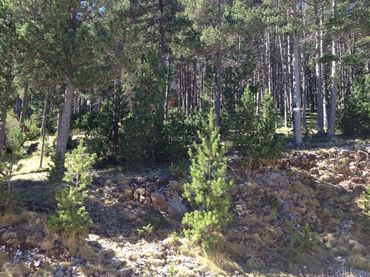 Terreno residencial en venta en Carrer Major 6B