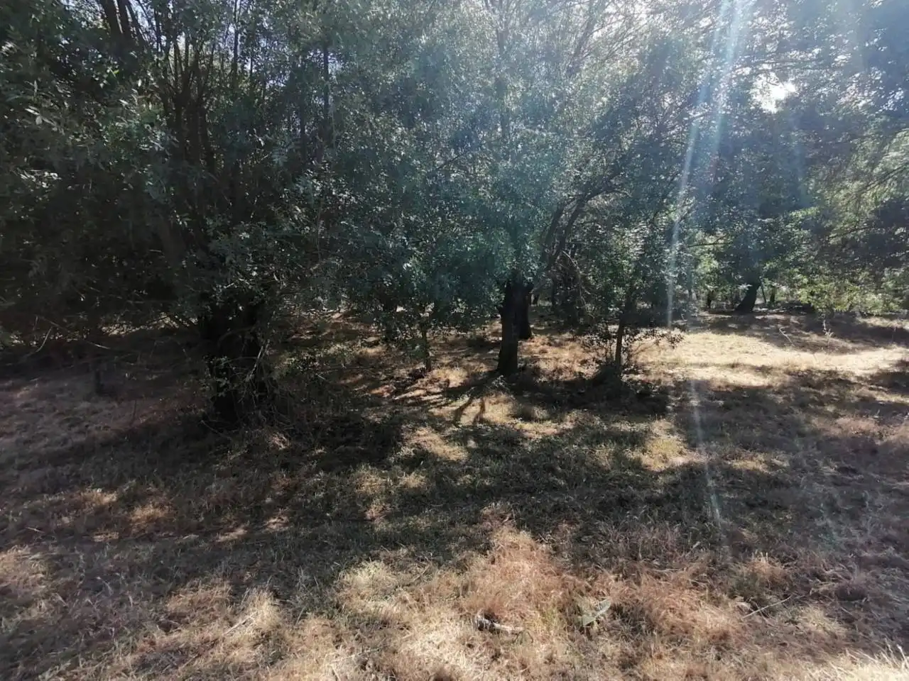 Terreno rustico in vendita a Poligono 21 122, imagen 14