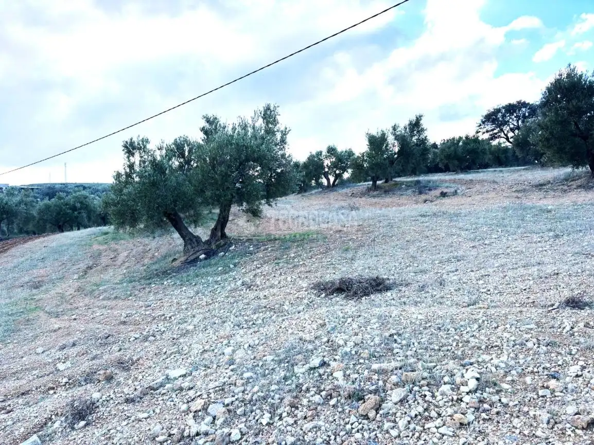 Terreni e lotti in vendita a Centro, imagen 15