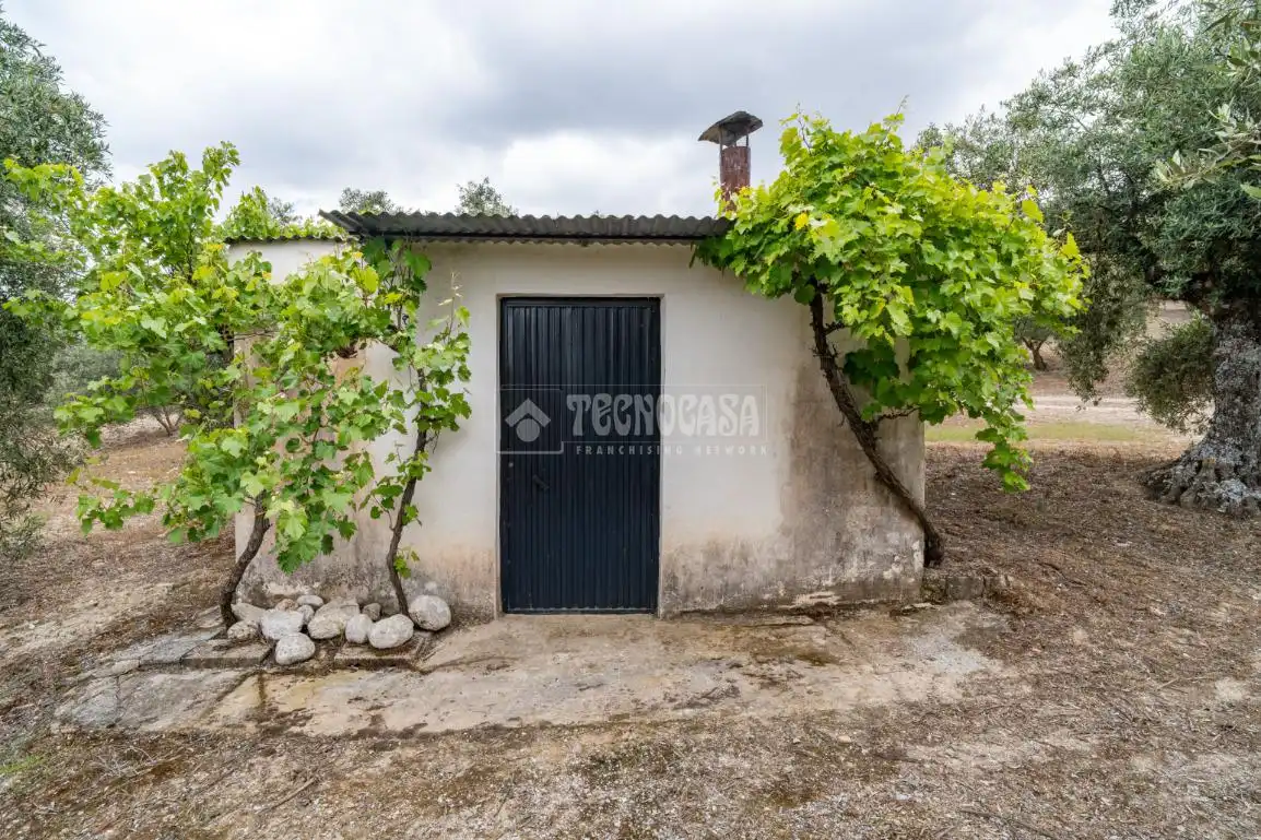 Terreni e lotti in vendita a Albaicín, imagen 9