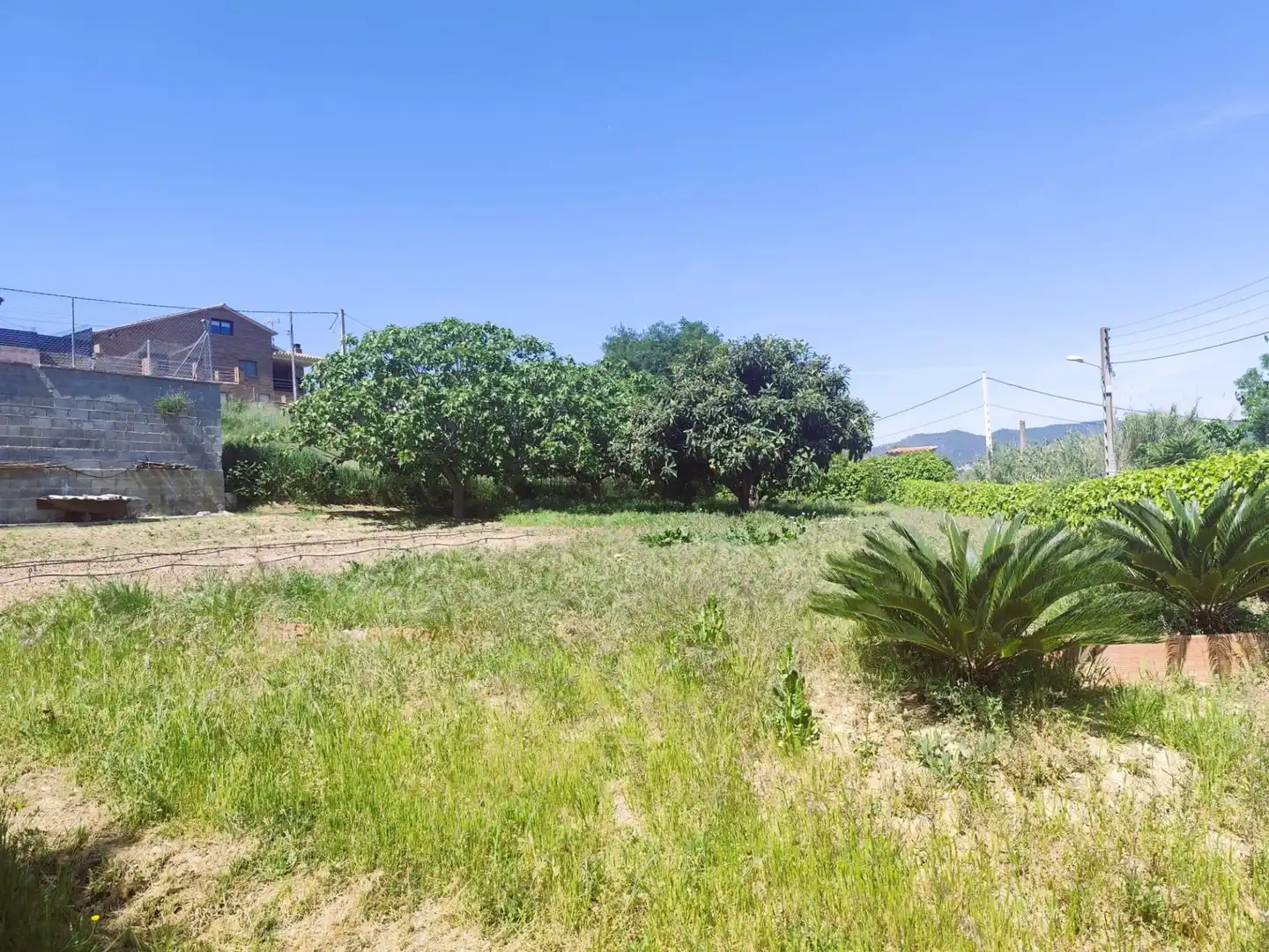 Terreno residencial en venta en Carrer Bedoll