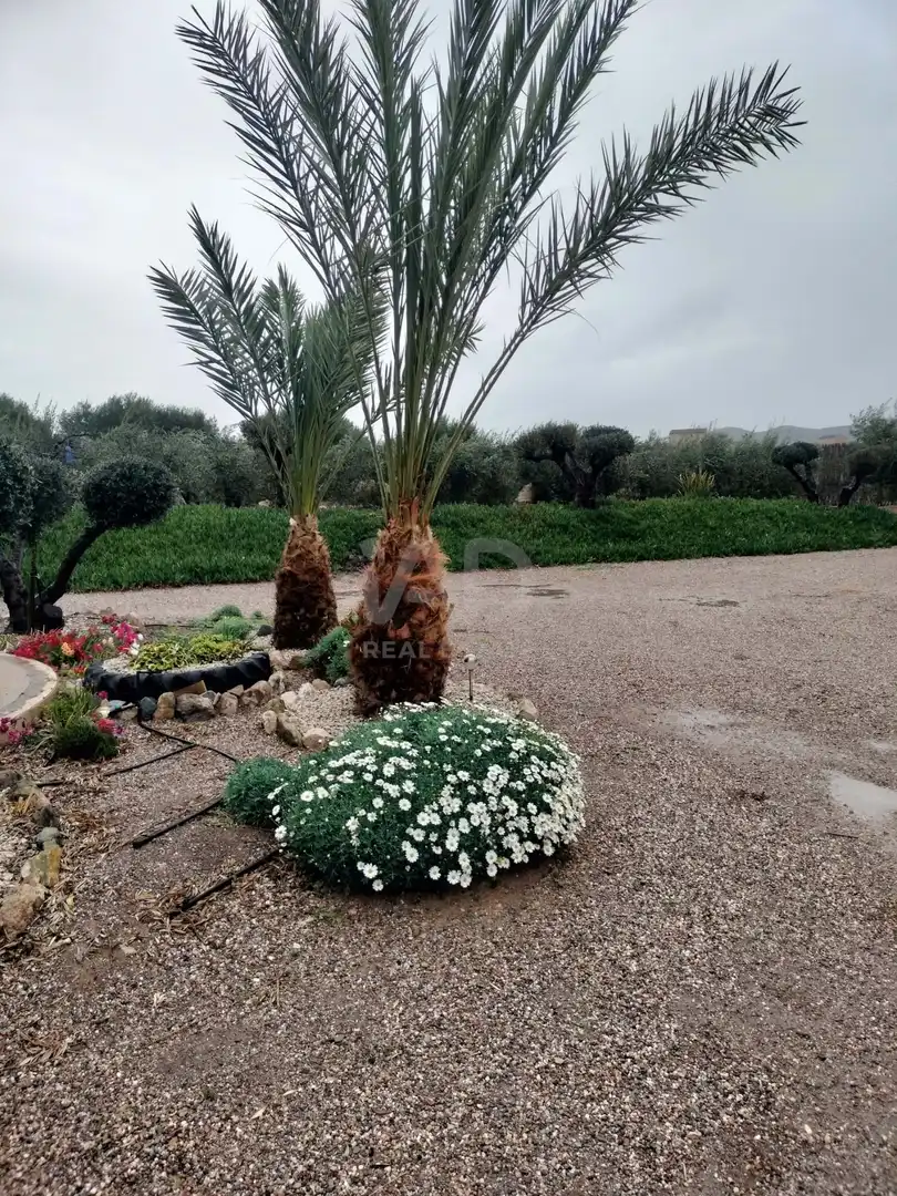 Casa o chalet en venta en Lorca con Terraza