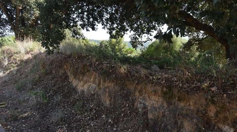 Foto 3 de Residencial en venda a Urbanitzacions del Nord, Santa Cristina d'Aro