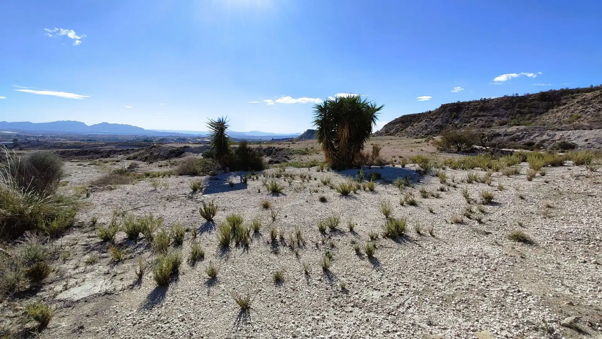 Rural land for sale in Fortuna, imagen 15