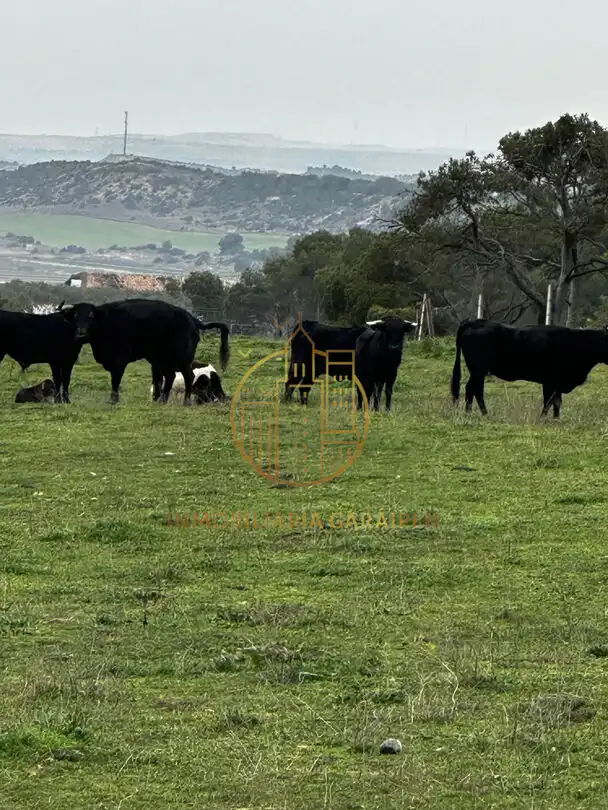 Rural land for sale in Murillo El Cuende, imagen 67