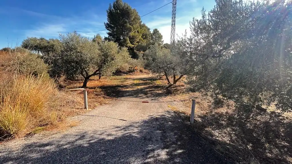 Terreny rústic en venda a Carrer del Dimecres, imagen 21