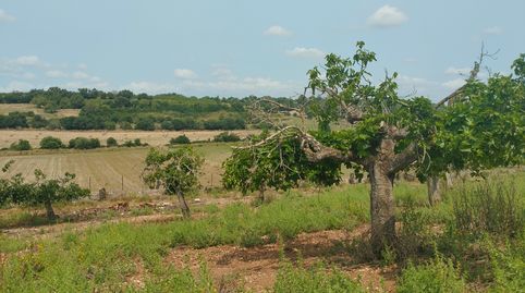 Finca con vistas panoramicas, immagine 4