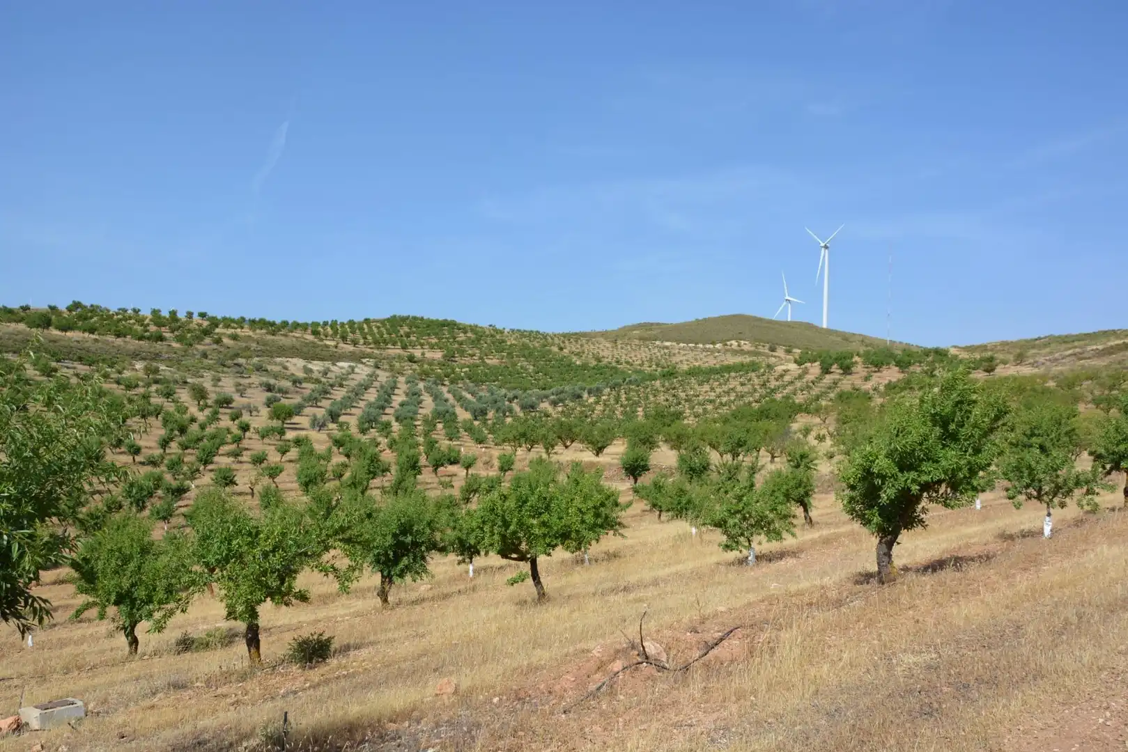 Exterior view of Land for sale in Padul