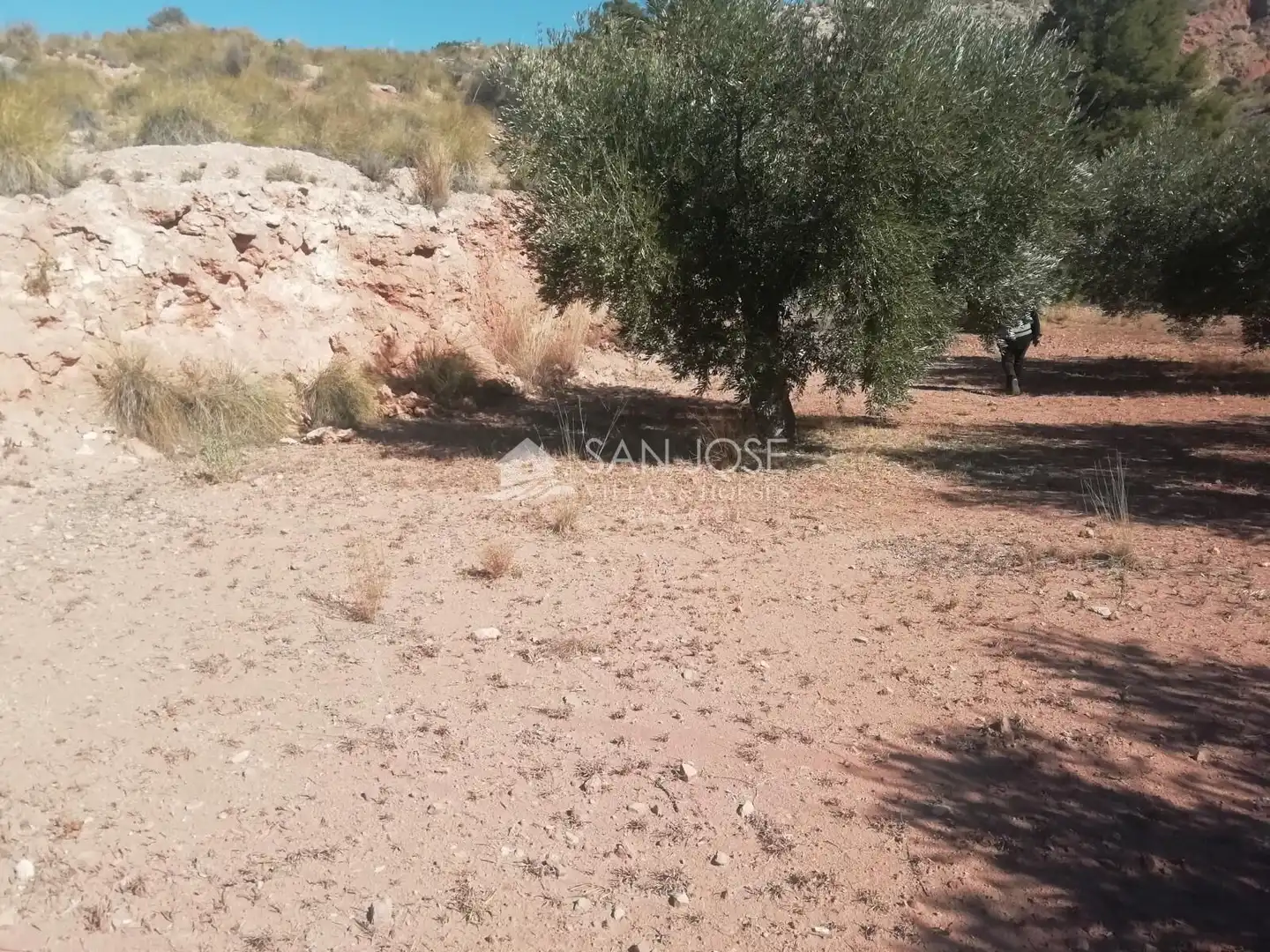 Lands and plots for sale in Abanilla, imagen 14