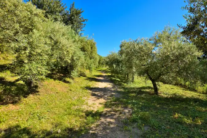 Finca rústica en venta en Zahara con Aire acondicionado, Calefacción y Jardín privado