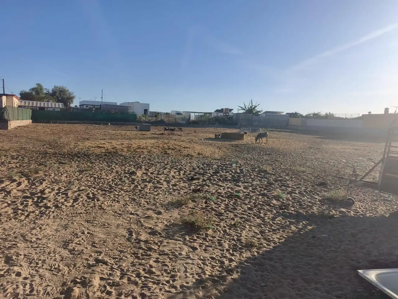 Rural land for sale in Camino de Santo Dios, imagen 3