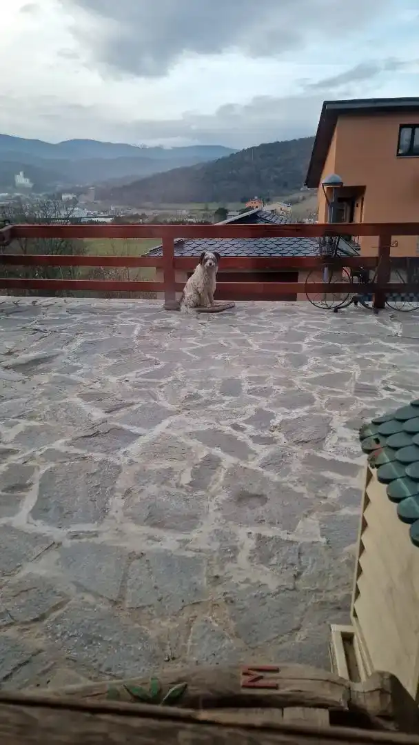 Vista exterior de Casa o xalet en venda en Montferrer i Castellbò amb Aire condicionat, Piscina i Balcó