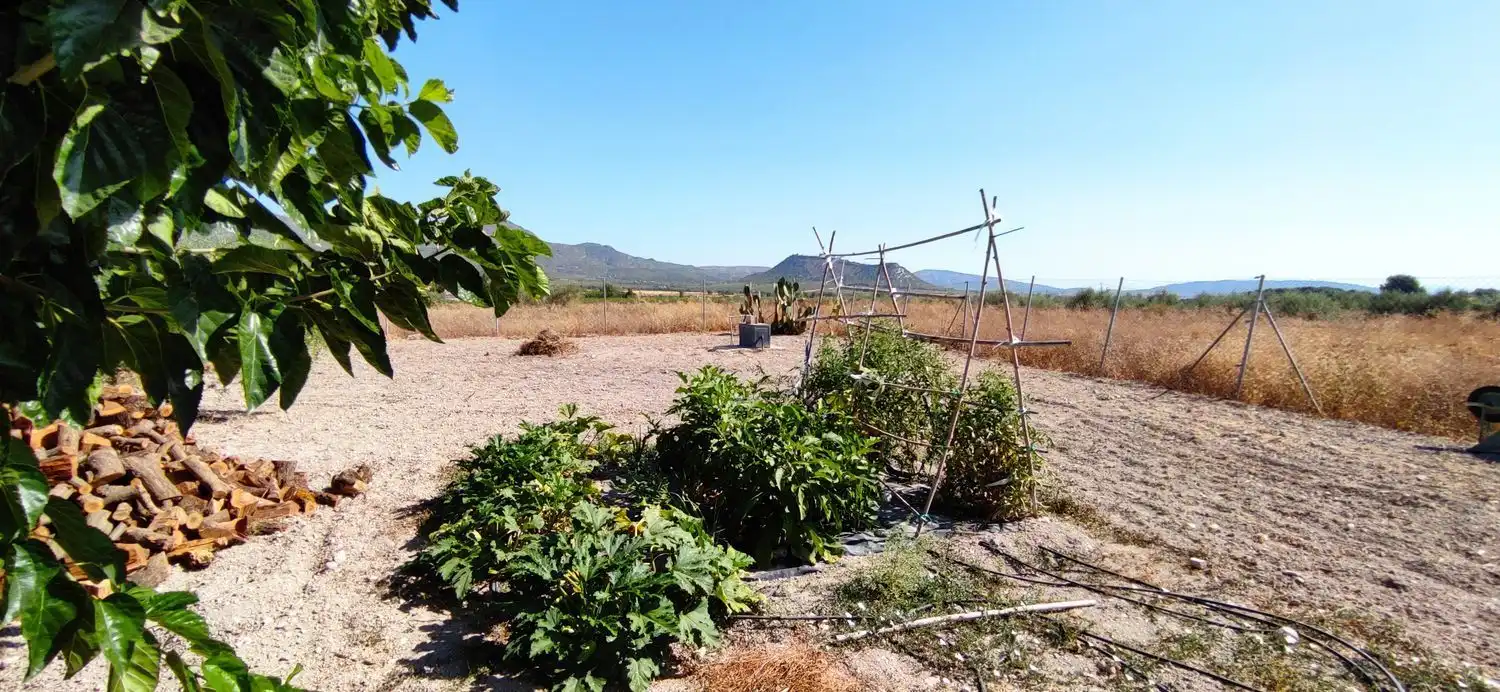 Chalet con piscina en venta en Moratalla, imagen 52