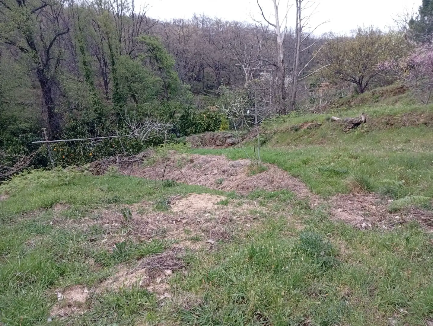 Terreni e lotti in vendita a Valverde de la Vera, imagen 112