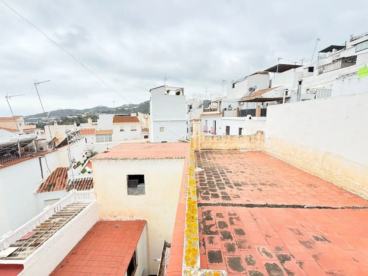 Vista exterior de Finca rústica en venta en Torrox