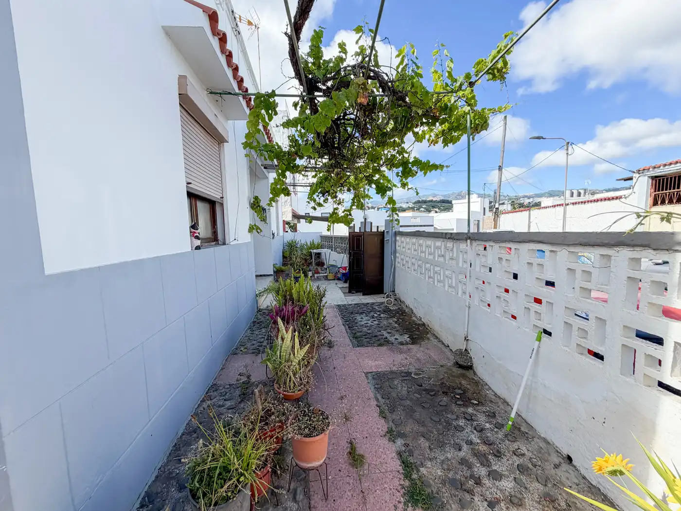 Vista exterior de Casa o chalet en venta en Moya (Las Palmas) con Jardín privado