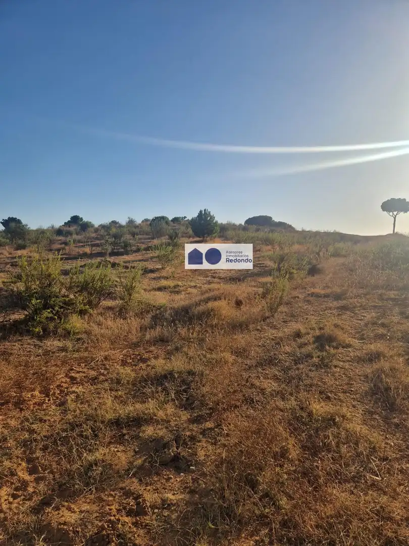 Terreny residencial en venda a Centro, imagen 2