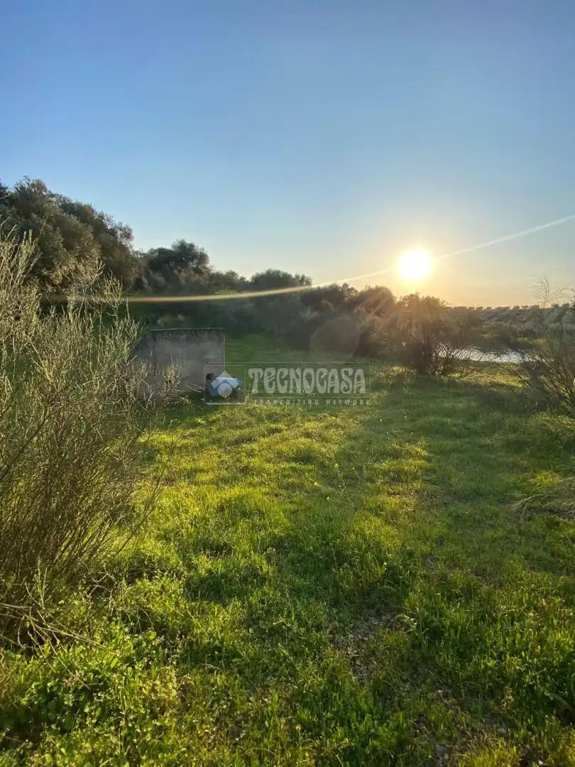 Grundstücke zum Verkauf in Esparragalejo