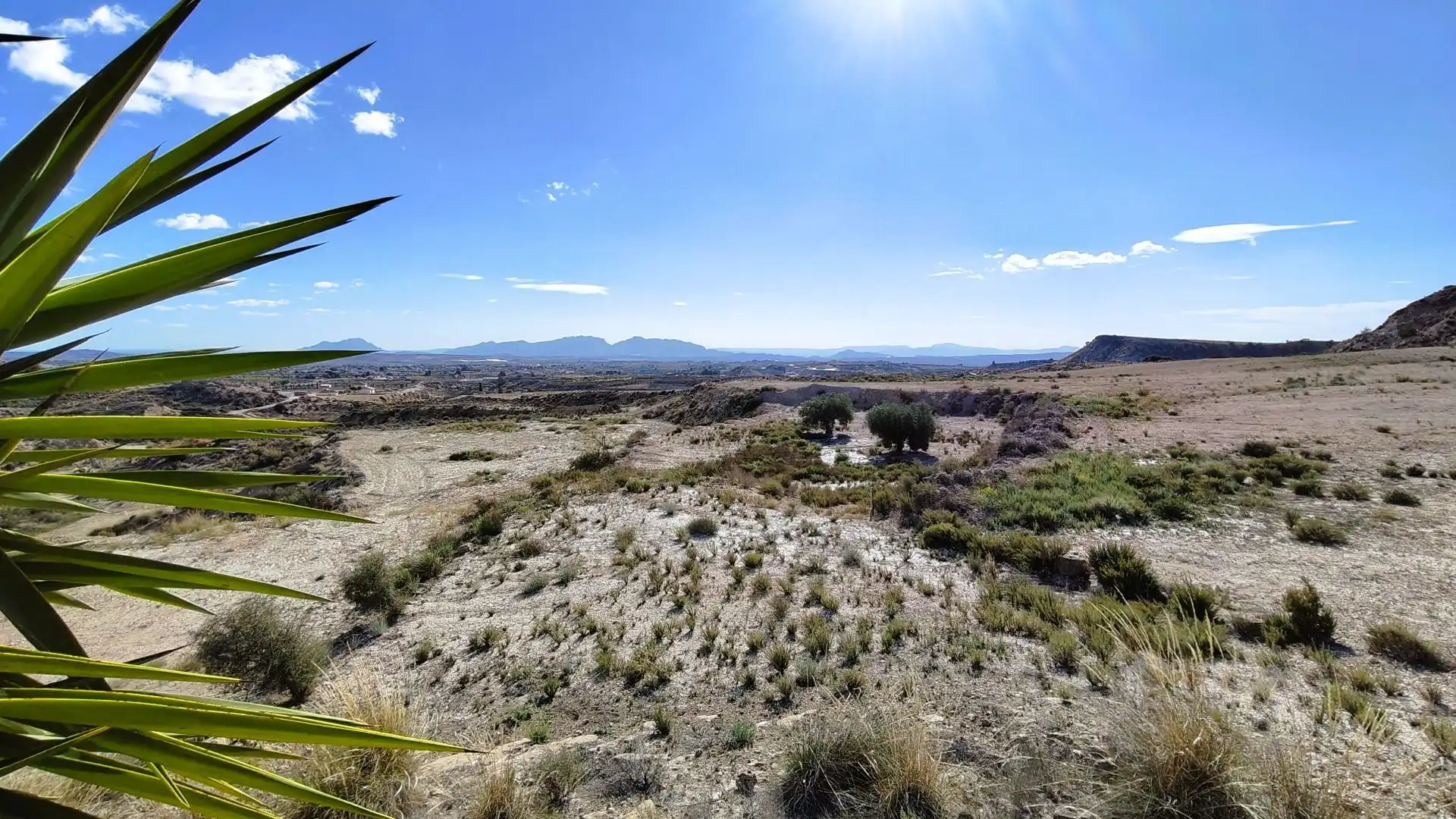Rural land for sale in Fortuna, imagen 2