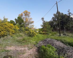 Finca rústica en venda en  Murcia Capital amb Terrassa