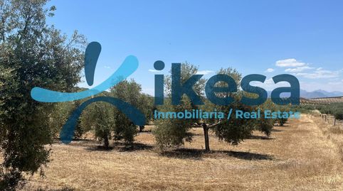 Foto 3 de Terreno en venta en Peal de Becerro, Jaén