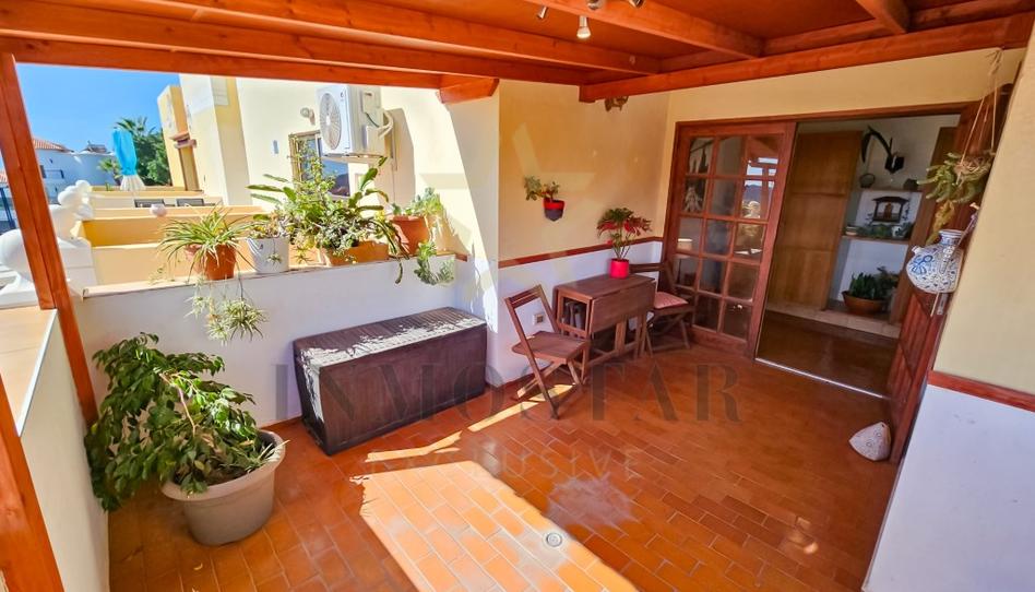 Photo 1 of Duplex for sale in N/a, Chayofa, Santa Cruz de Tenerife