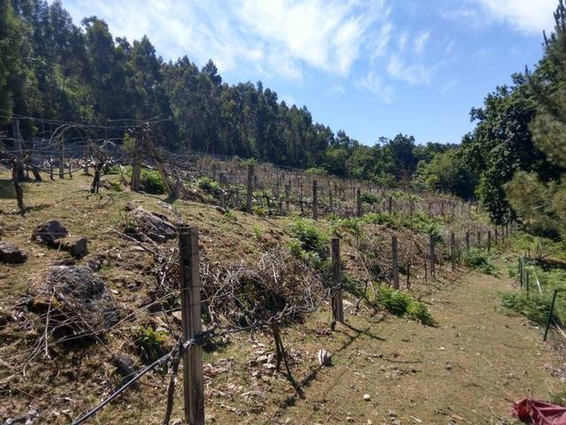 Casa-chalet en Venta en AC-240 en Vedra