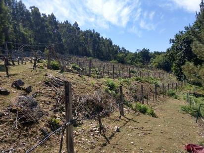 House or chalet for sale in Vedra  with Private garden